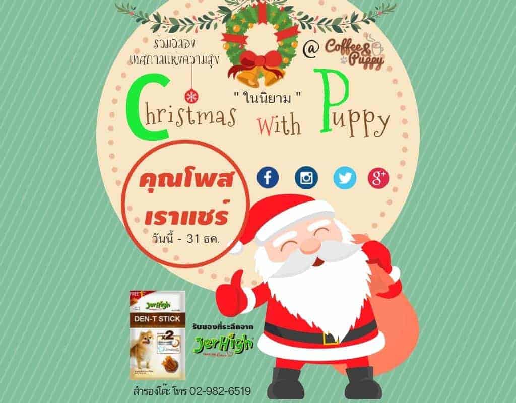 ร่วมฉลองเทศกาลแห่งความสุขกับลูกๆน้องหมาของคุณ ที่ Coffee Puppy